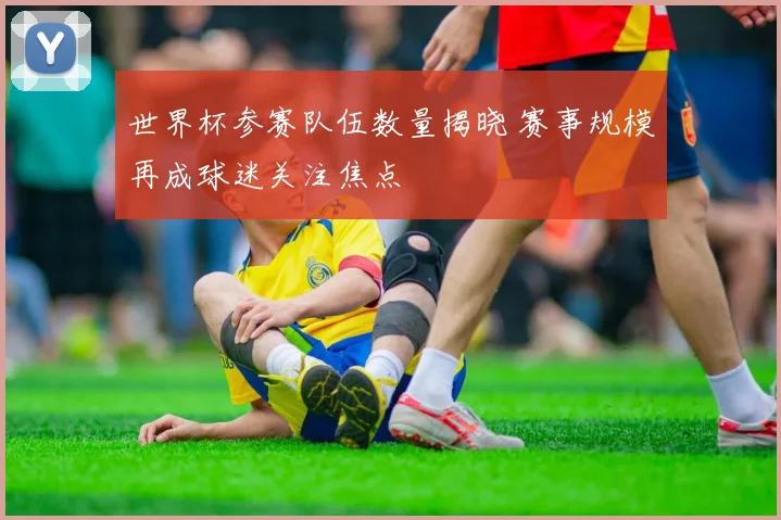 世界杯参赛队伍数量揭晓 赛事规模再成球迷关注焦点