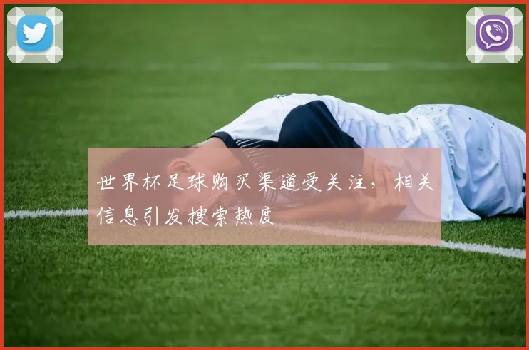 世界杯足球购买渠道受关注,相关信息引发搜索热度