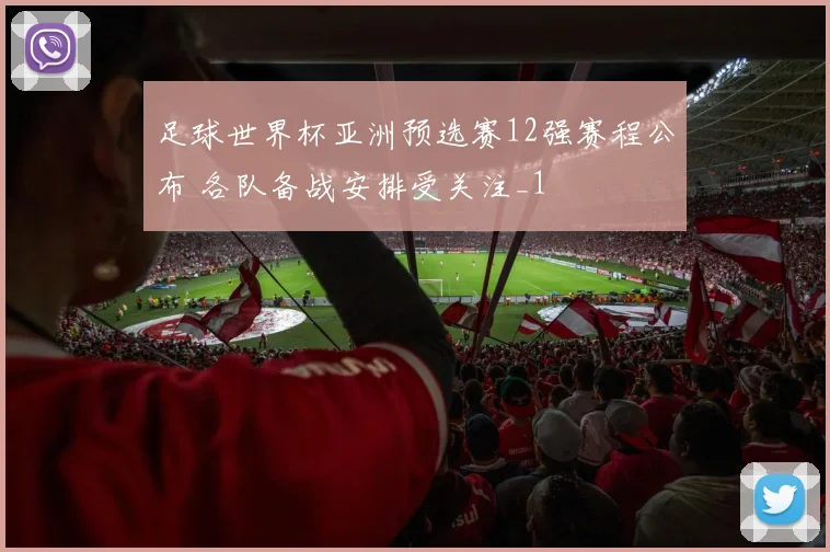 足球世界杯亚洲预选赛12强赛程公布 各队备战安排受关注_1